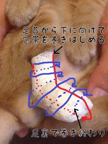 改良版 新しい患部のケア方法と包帯の巻き方 チャゴの保護猫預かり日記