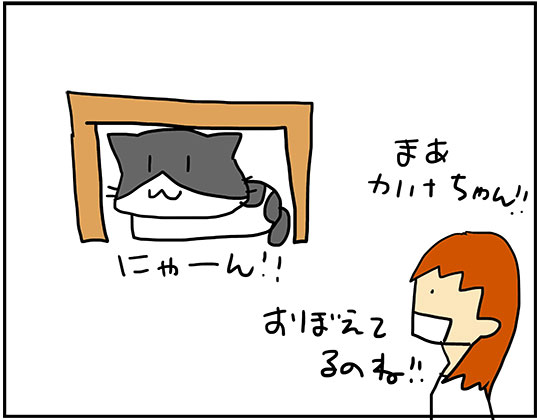 kotatsu3.jpg