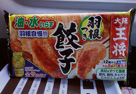 味の素と大阪王将の冷凍餃子について考察してみる・・・って旅はどうしてん？（日本一周旅174日目）