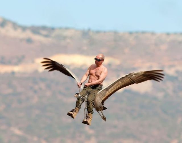 鳥に乗るプーチン