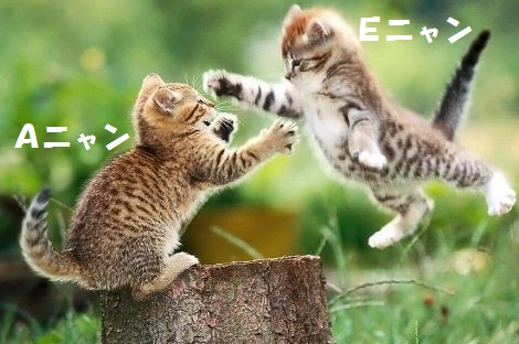 cat-fight.jpg